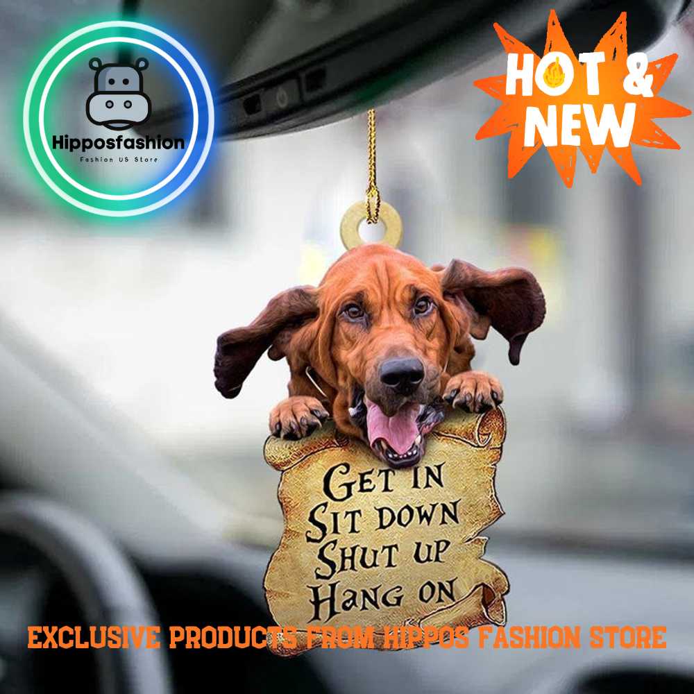 Bloodhound Get In Two Sided Car Ornament