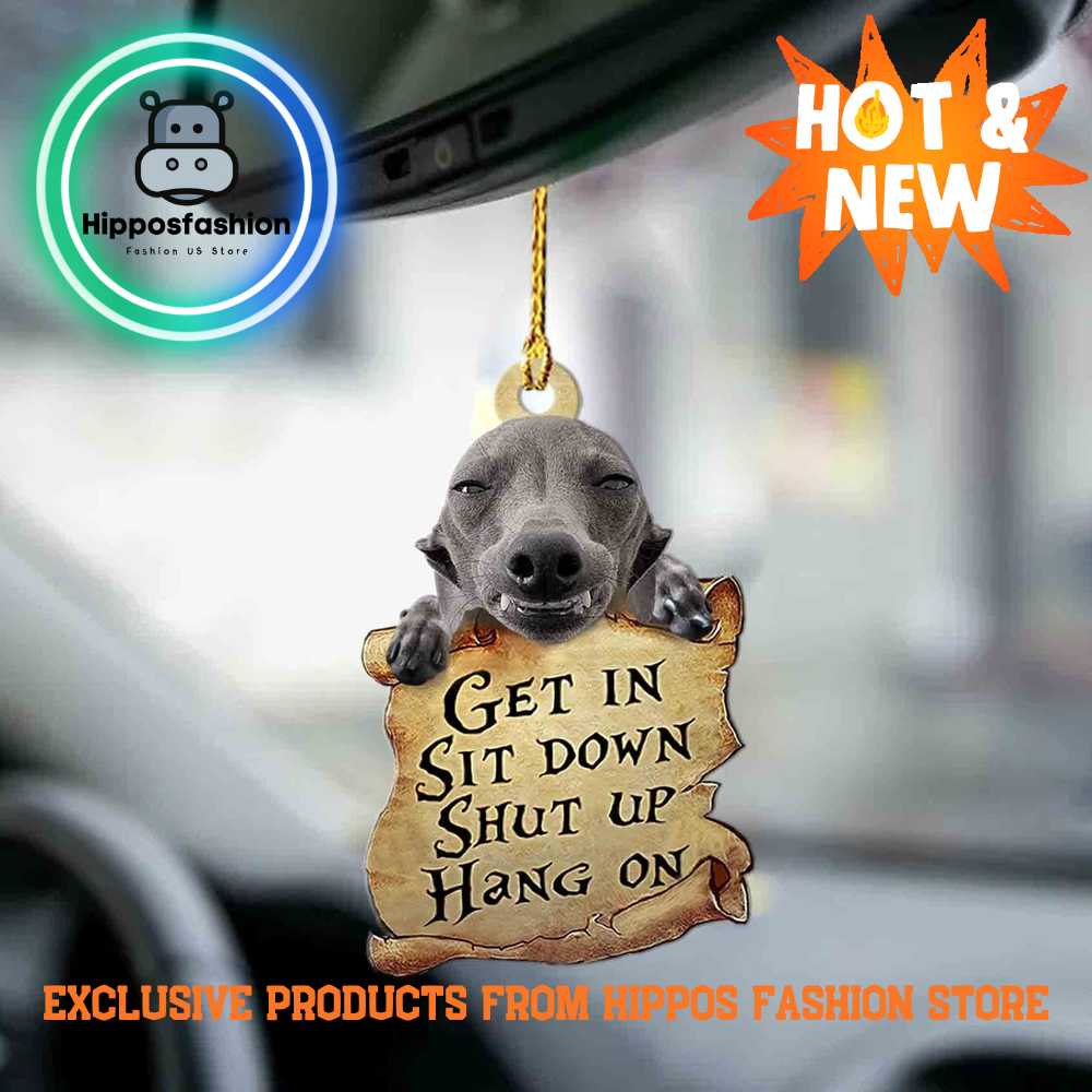 Greyhound Get In Greyhound Lover Dog Moms Two Sided Car Ornament