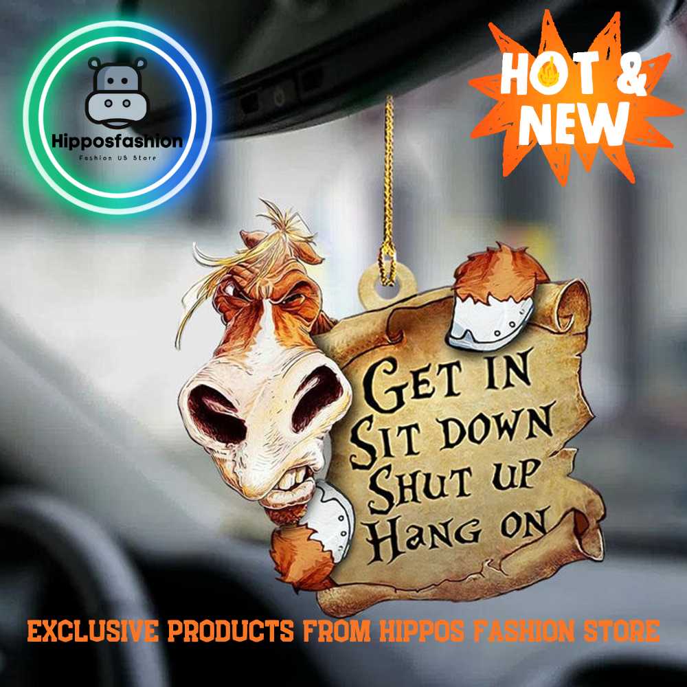 Horse Get In Horse Lover Two Sided Car Ornament