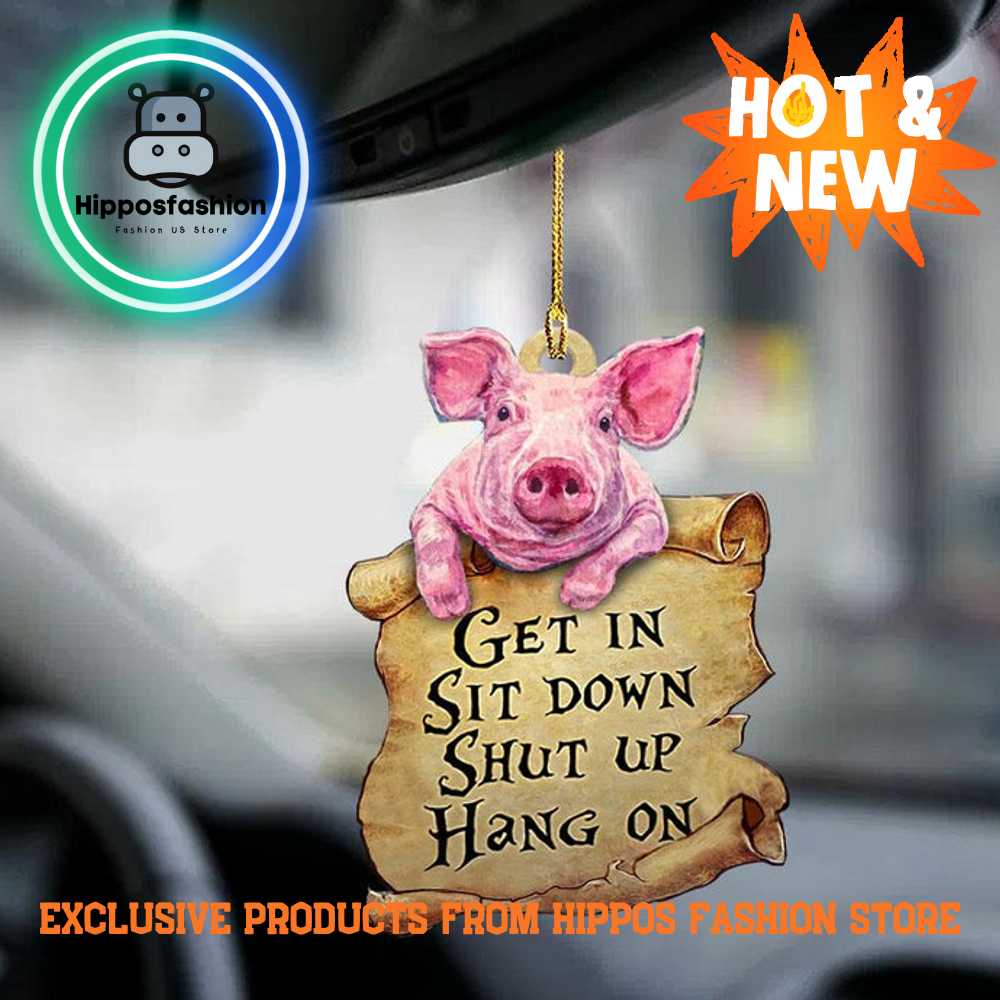 Pig Get In Pig Lover Two Sided Car Ornament